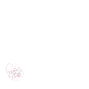 256
