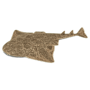 028