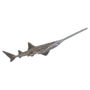 036