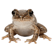 015
