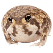 016