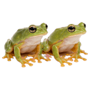 039