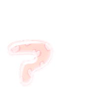127