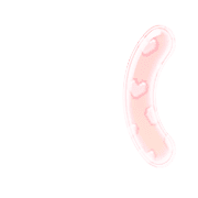 234