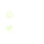 244