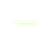 251