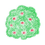 031