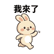 019