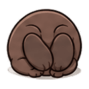 031