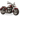 019