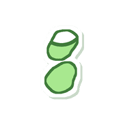 244