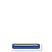 250