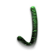 010