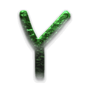 025