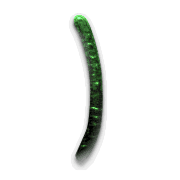 074