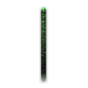 081