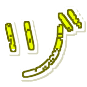 148