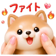 017