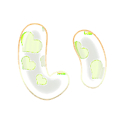 002
