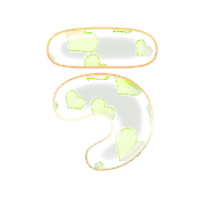 003