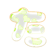 016
