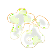 021