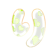 040