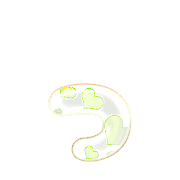 052