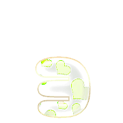 135