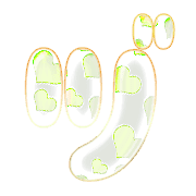 148