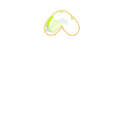 231