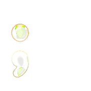 243