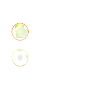 244
