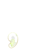 245