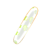 247