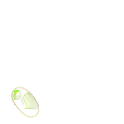 256