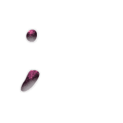 082