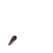 084