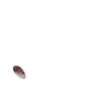 095