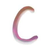 003