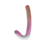 010