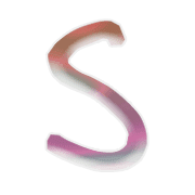 019