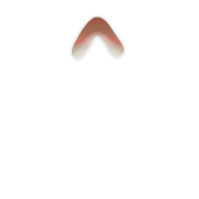 070