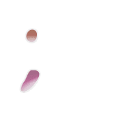 082