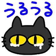 008