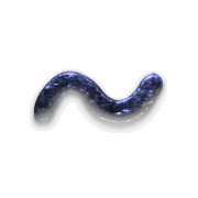 063
