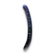 074