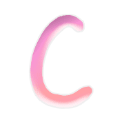 003