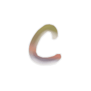 029