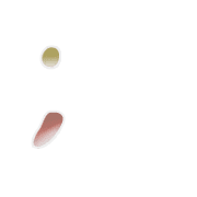 082